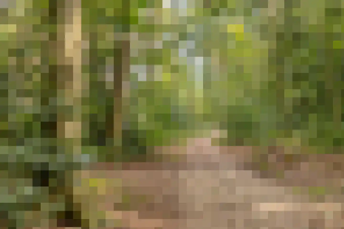 Wethouder Noordamweg 1 Maarn thumbnail 63