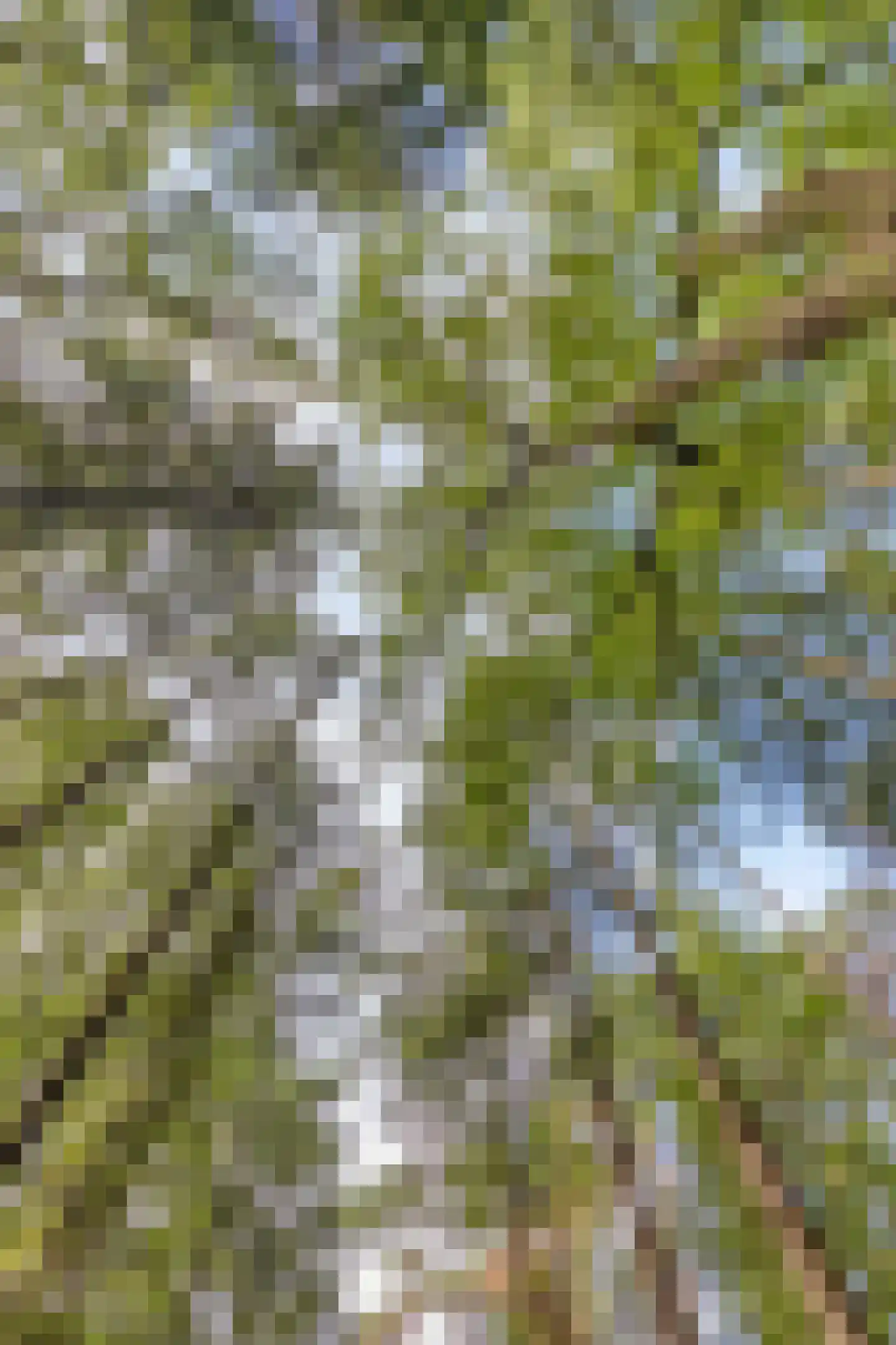 Wethouder Noordamweg 1 Maarn thumbnail 64