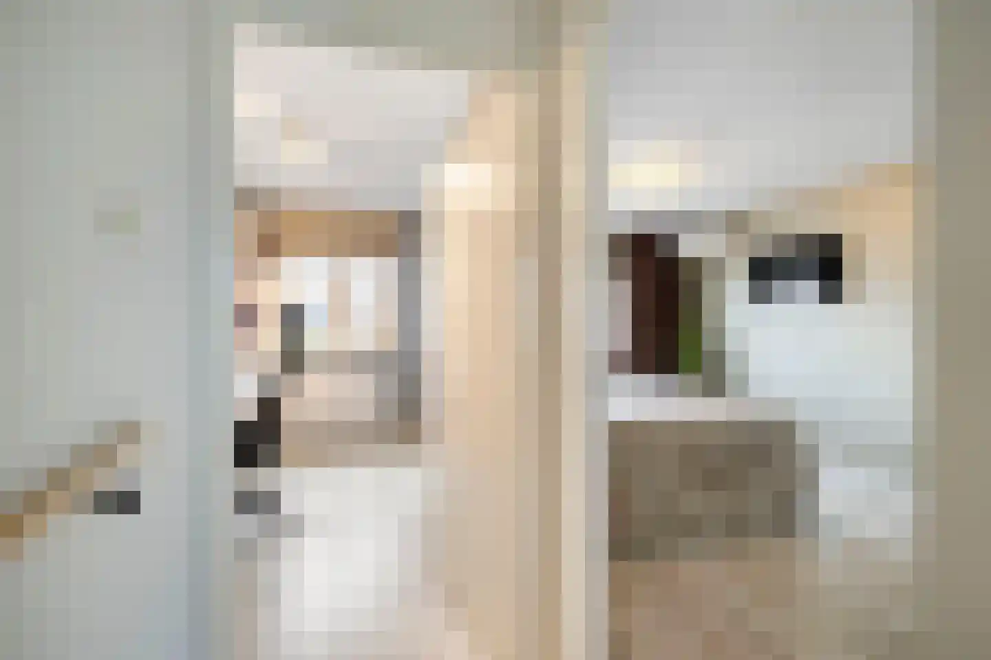 Wethouder P Woltersstraat 36 Zuidland thumbnail 21