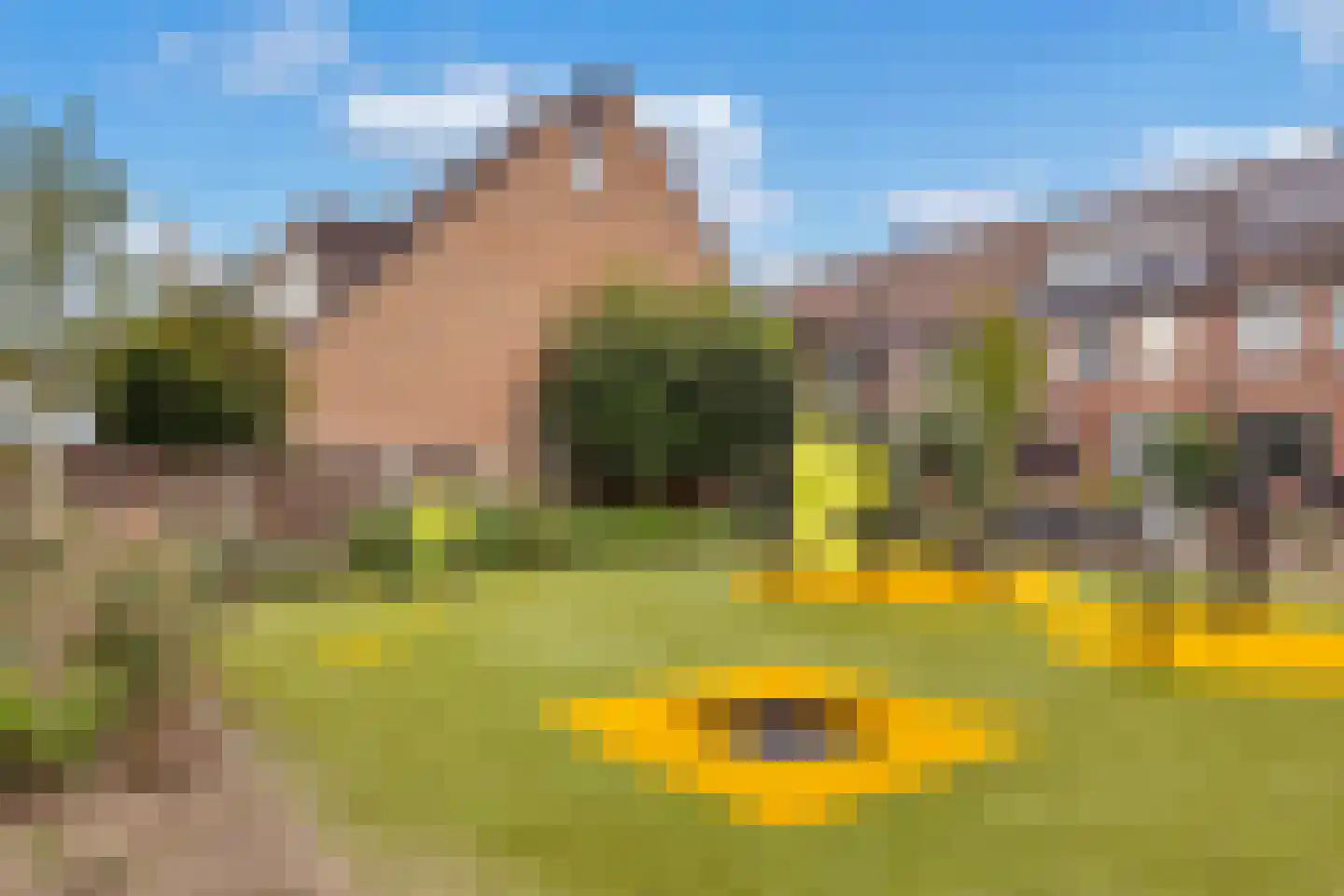 Wethouder P Woltersstraat 36 Zuidland thumbnail 39