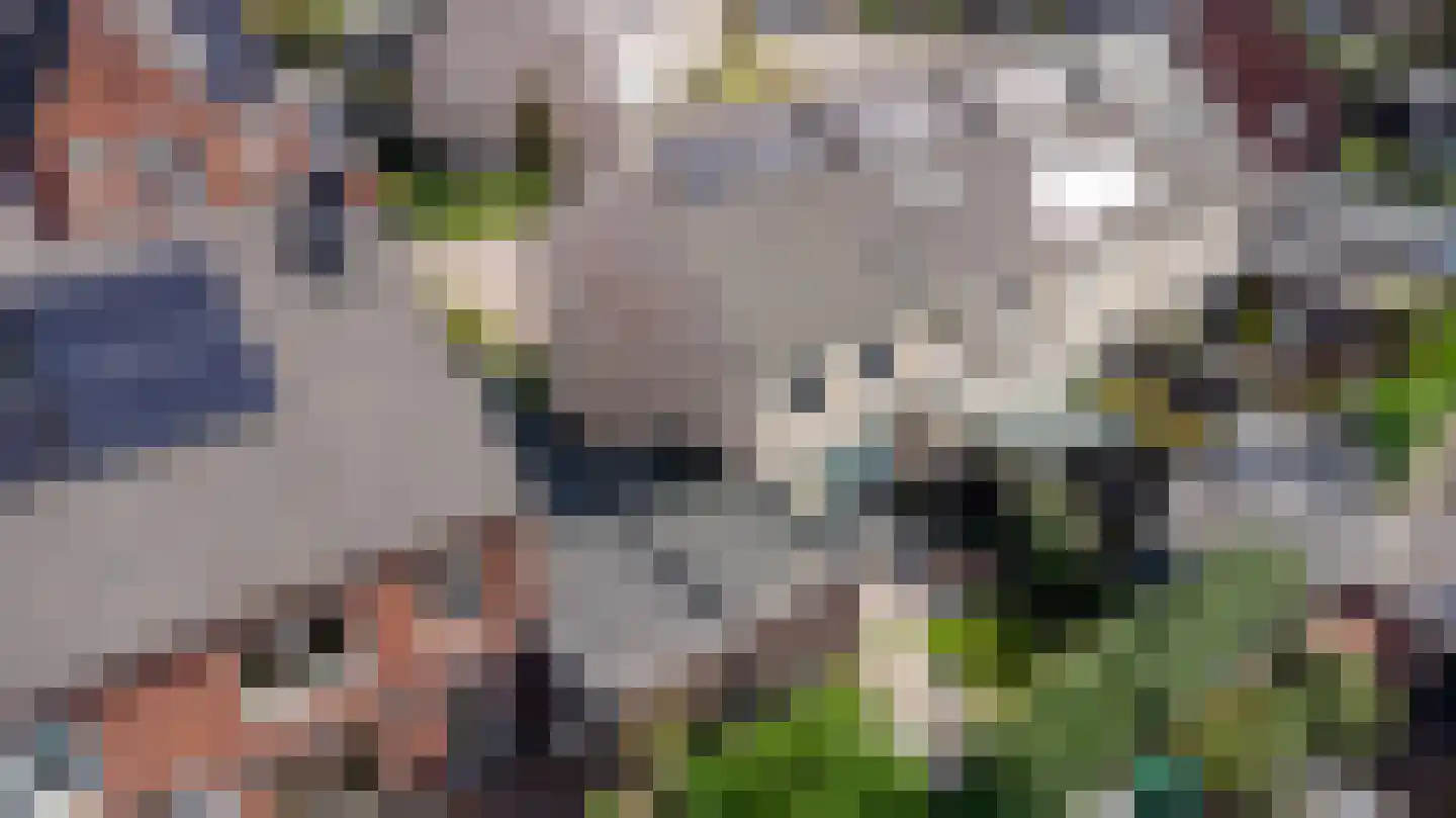 Wethouder Paulushof 15 Ermelo thumbnail 41