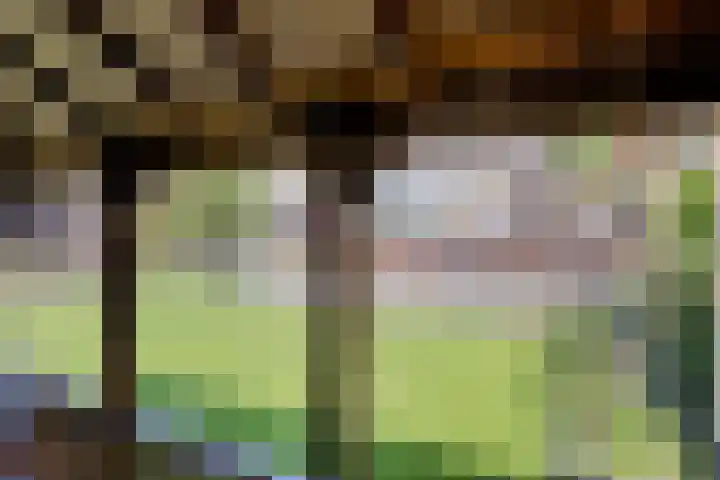 Wethouder Pubbenstraat 4 Merselo thumbnail 33