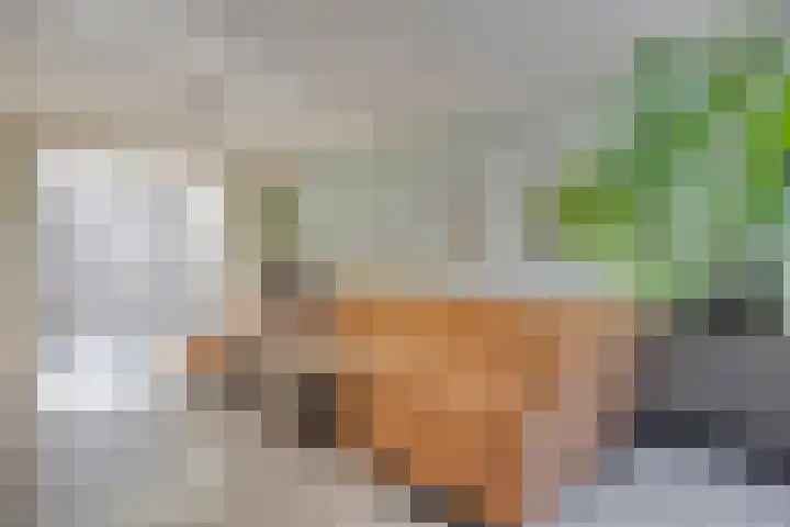 Wethouder Pubbenstraat 4 Merselo thumbnail 6