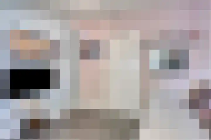 Wethouder Pubbenstraat 4 Merselo thumbnail 8