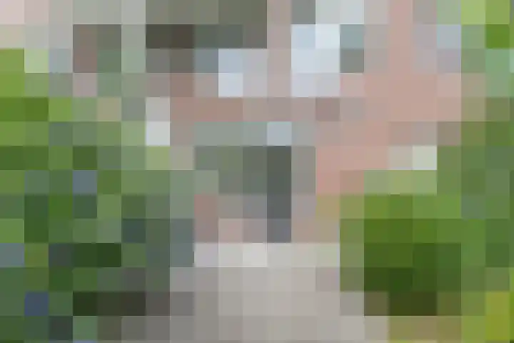 Wethouder Ramstraat 60 Amsterdam thumbnail 4