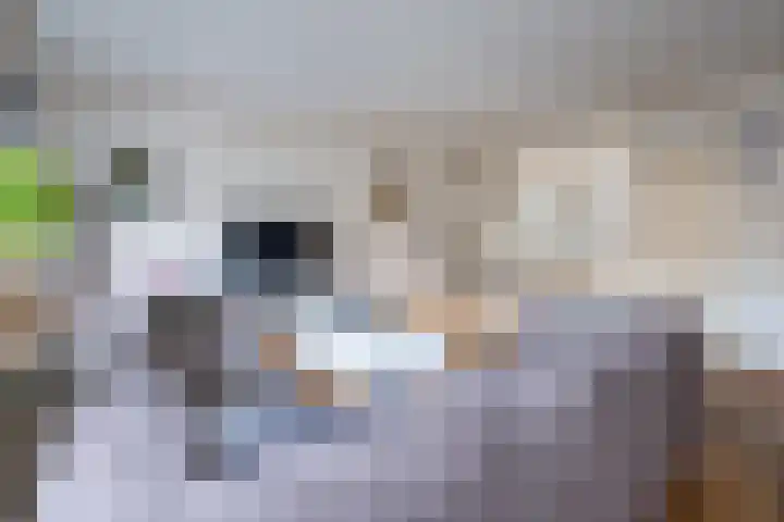 Wethouder Rebellaan 112 Barneveld thumbnail 4