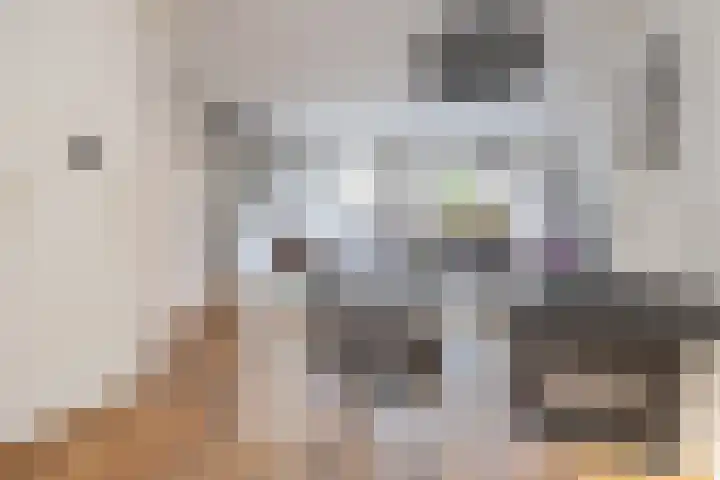 Wethouder Rebellaan 112 Barneveld thumbnail 8