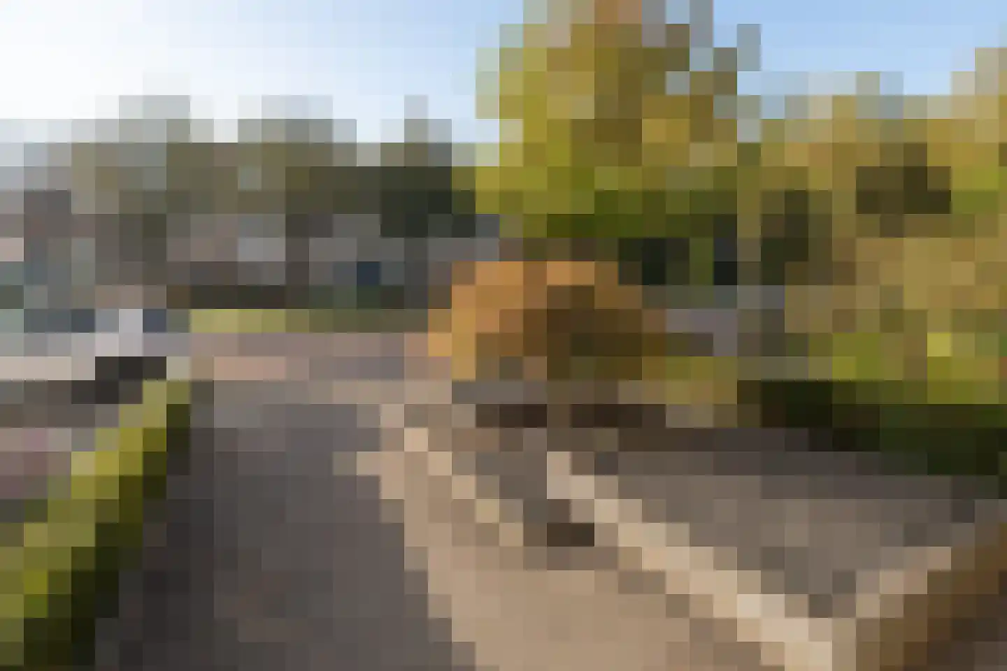 Wethouder Rebellaan 118 Barneveld thumbnail 48
