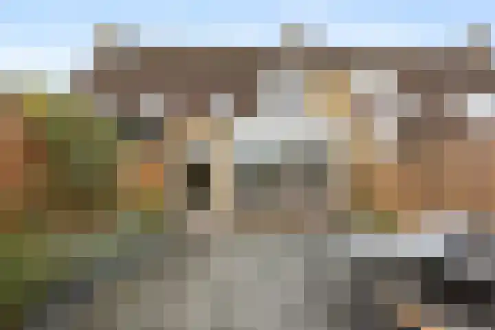Wethouder Rebellaan 5 Barneveld thumbnail 36