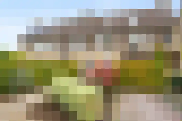 Wethouder Rebellaan 5 Barneveld thumbnail 41
