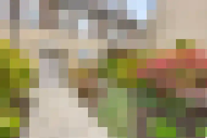 Wethouder Rebellaan 5 Barneveld thumbnail 5