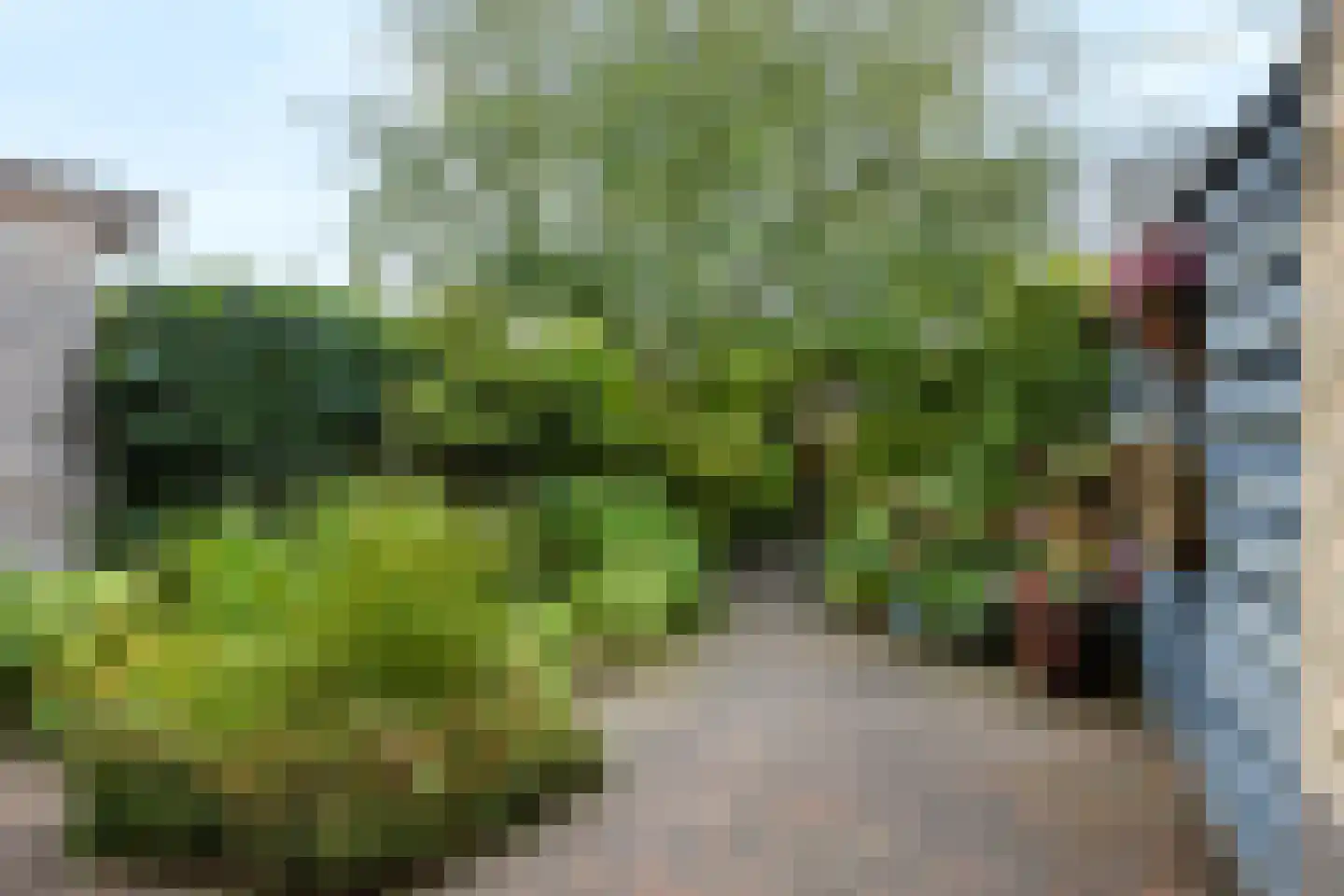 Wethouder Rebellaan 80 Barneveld thumbnail 5
