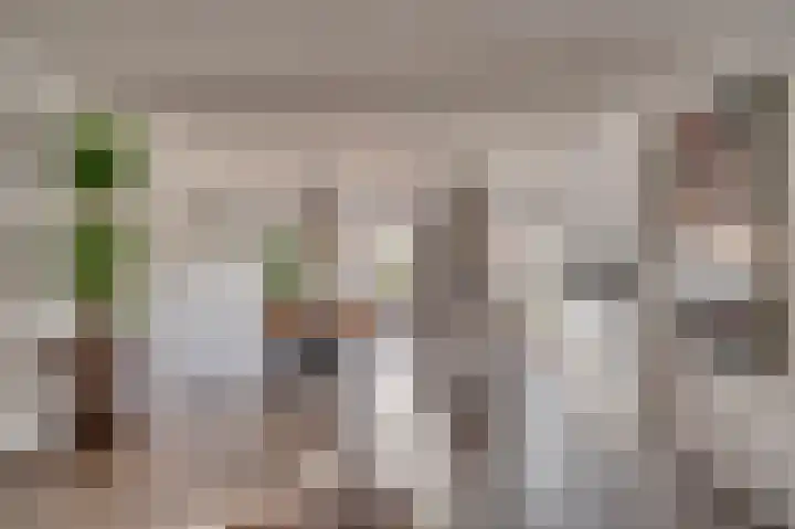 Wethouder Receveurlaan 10 Venlo thumbnail 5