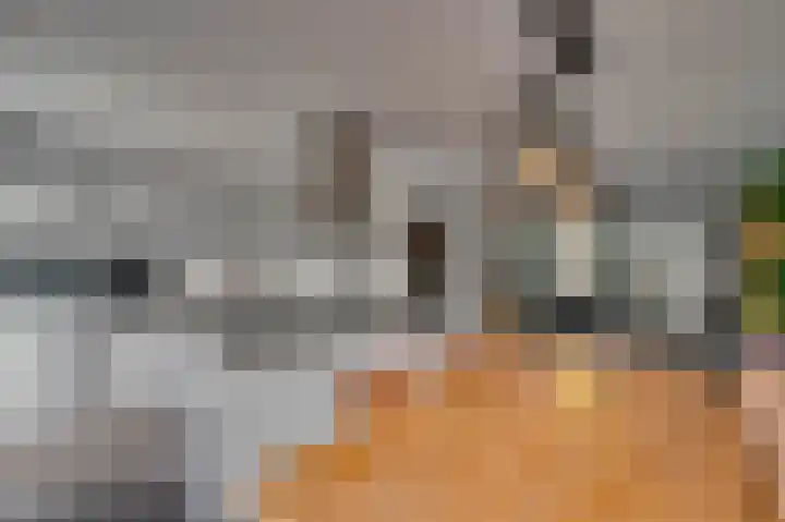 Wethouder Receveurlaan 10 Venlo thumbnail 8