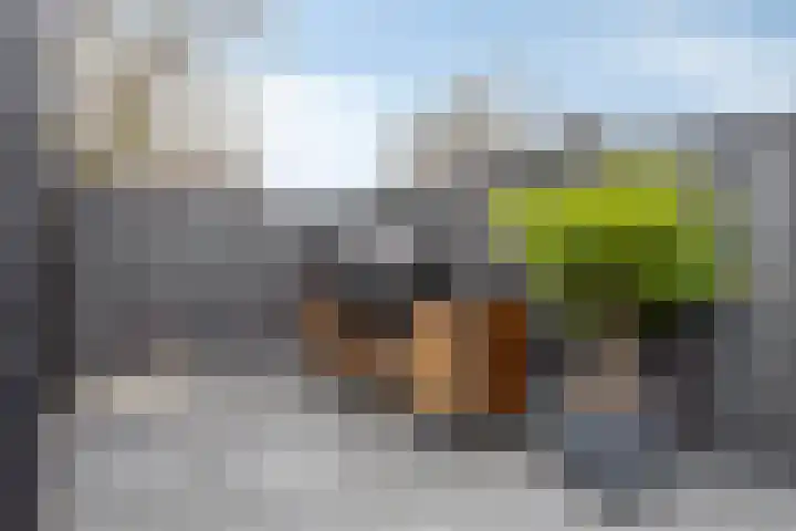 Wethouder Rijkeboerweg 51 Halfweg thumbnail 27
