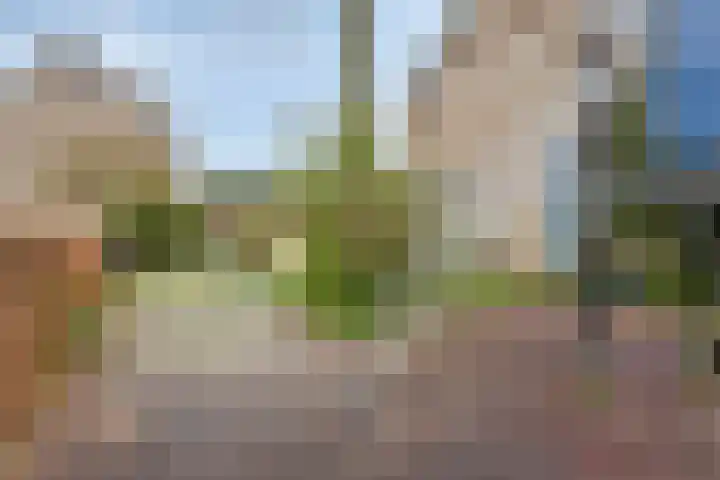 Wethouder Rijkeboerweg 51 Halfweg thumbnail 37
