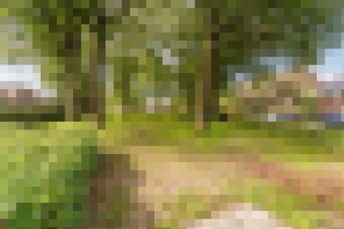 Wethouder Rikkerslaan 17 Ermelo thumbnail 36