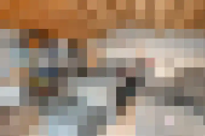 Wethouder Robaardstraat 22 Hoogeveen thumbnail 35