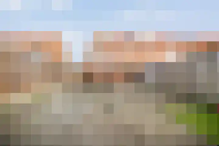 Wethouder Robaardstraat 22 Hoogeveen thumbnail 37