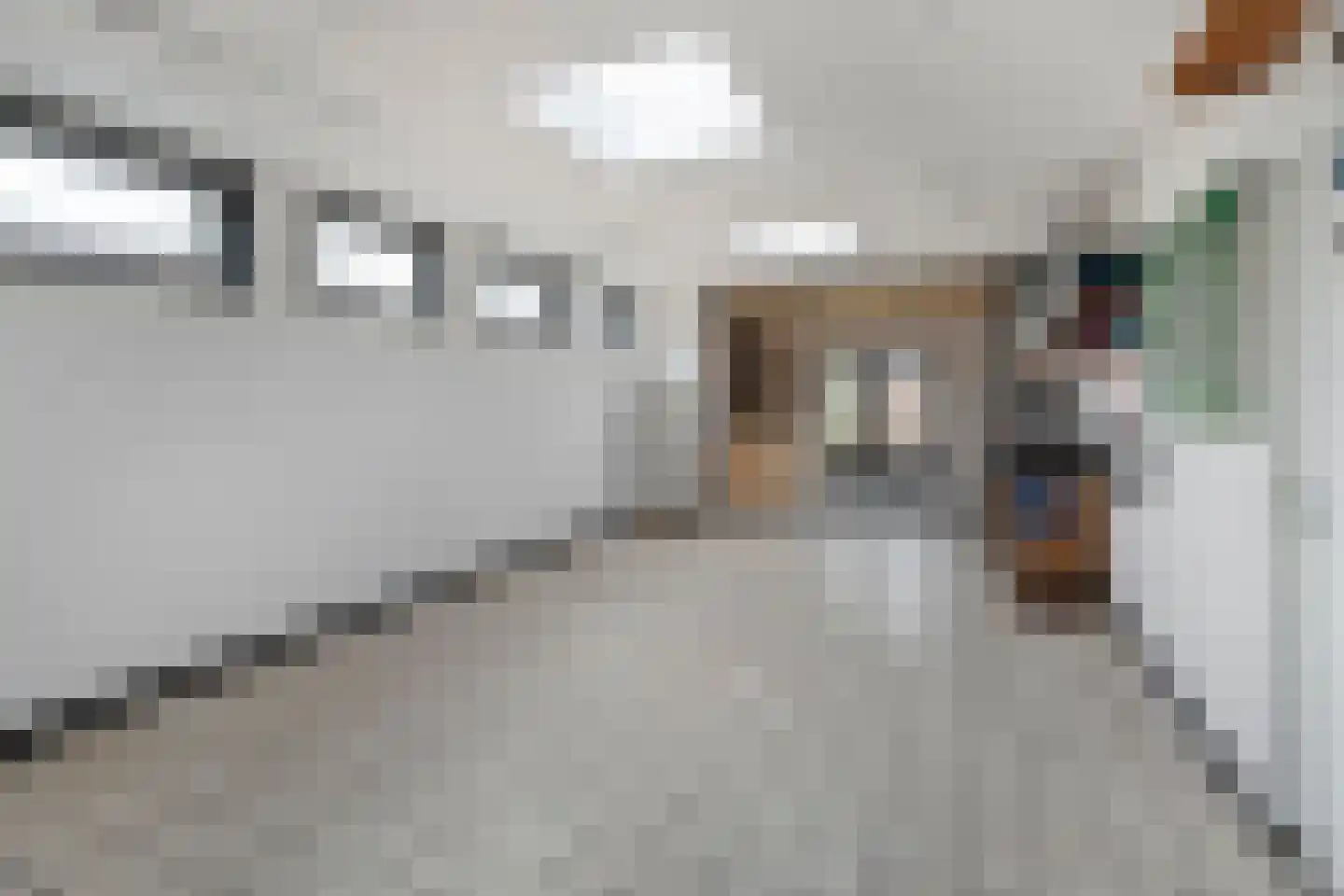 Wethouder Robaardstraat 45 Hoogeveen thumbnail 27