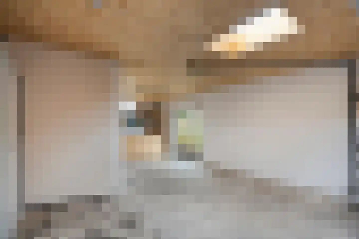 Wethouder Robaardstraat 45 Hoogeveen thumbnail 30