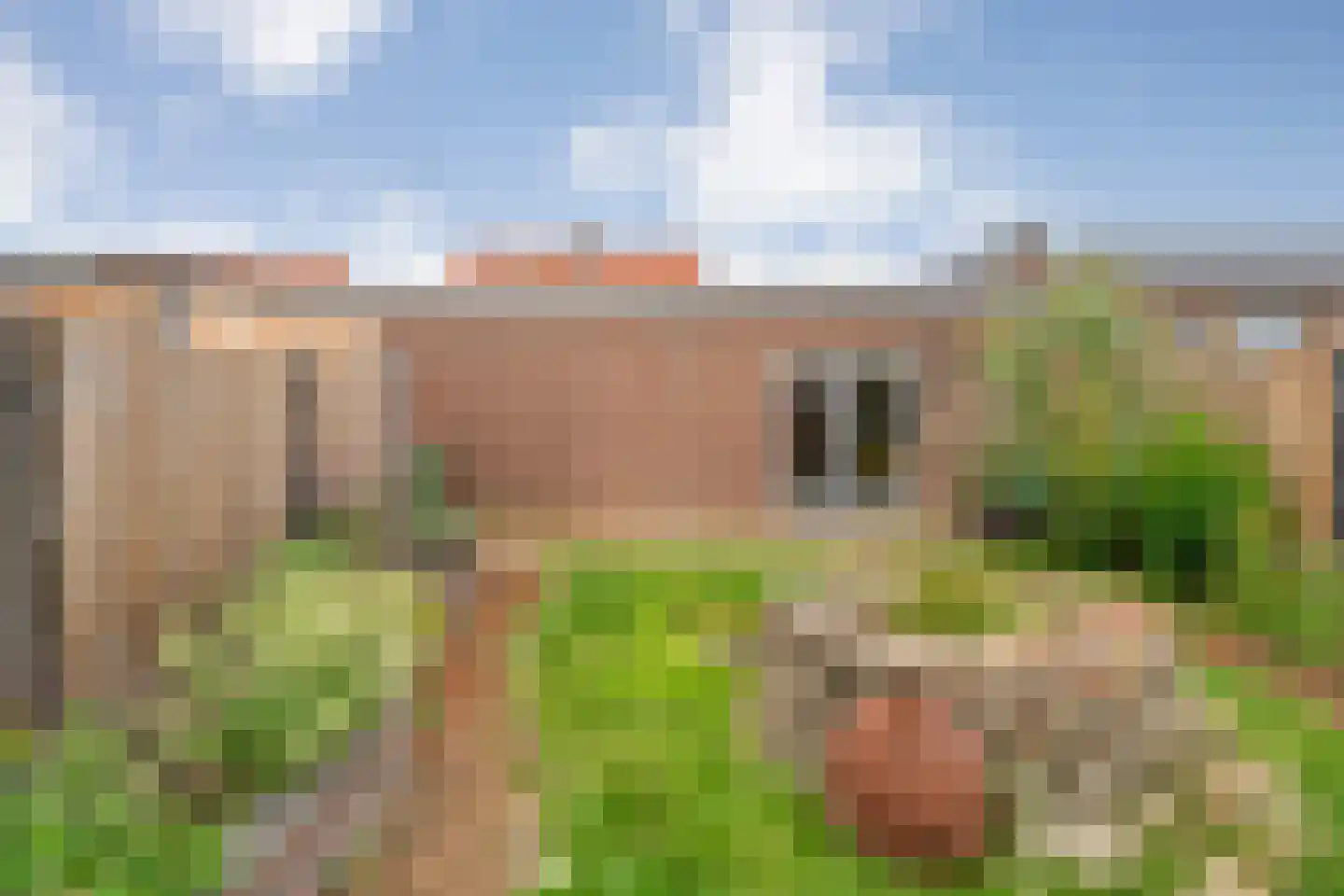 Wethouder Robaardstraat 45 Hoogeveen thumbnail 34