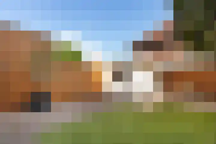 Wethouder Romboutsstraat 19 Breda thumbnail 34