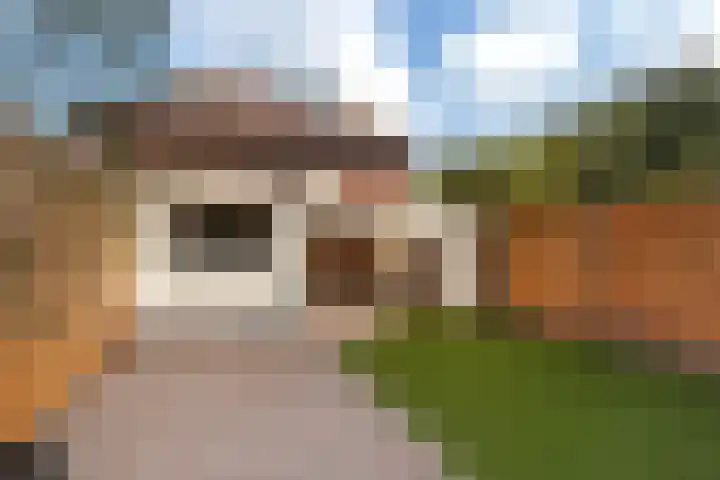 Wethouder Romboutsstraat 19 Breda thumbnail 35