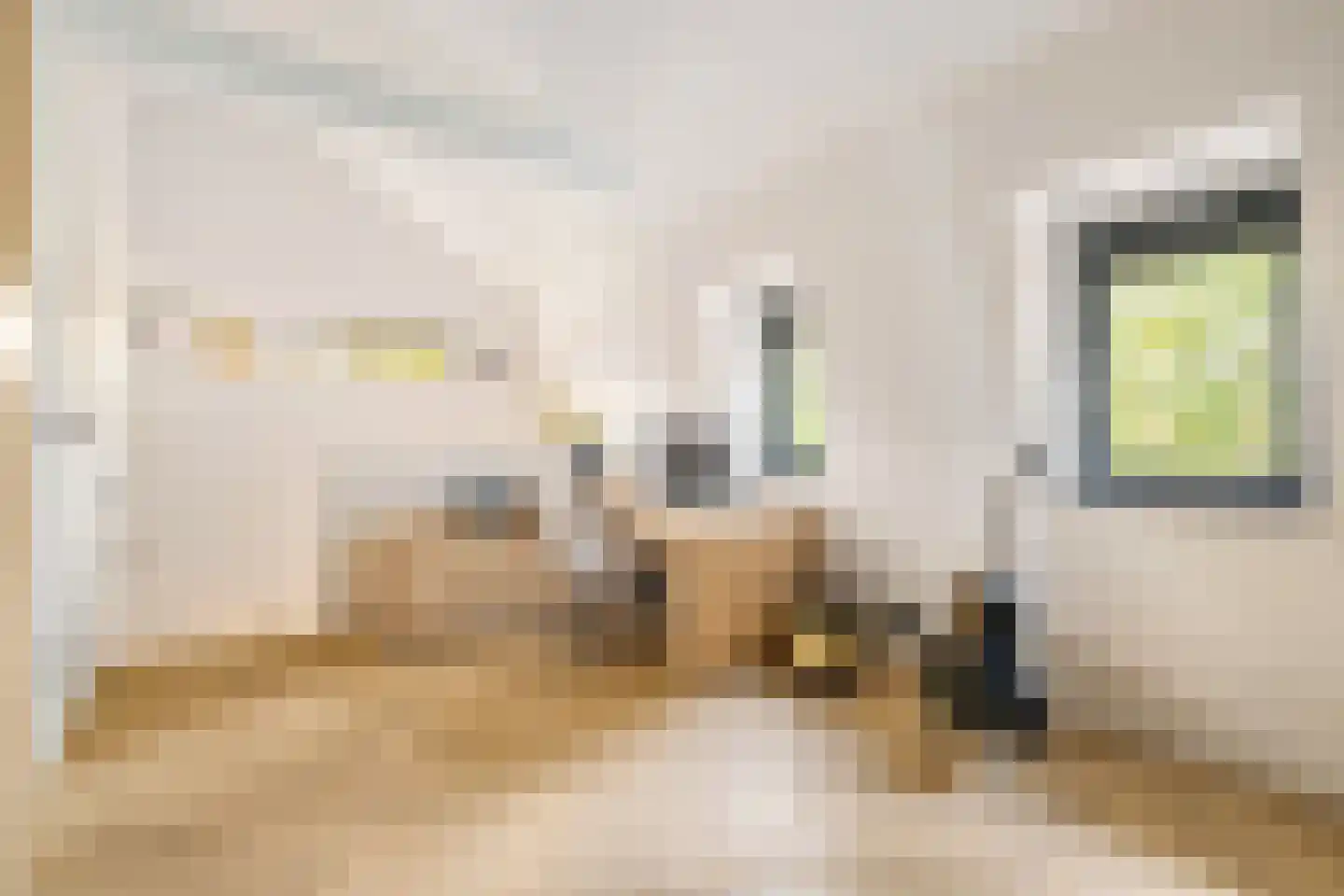 Wethouder Romboutsstraat 4 Breda thumbnail 44