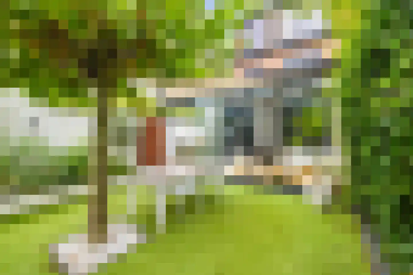 Wethouder Romboutsstraat 4 Breda thumbnail 61