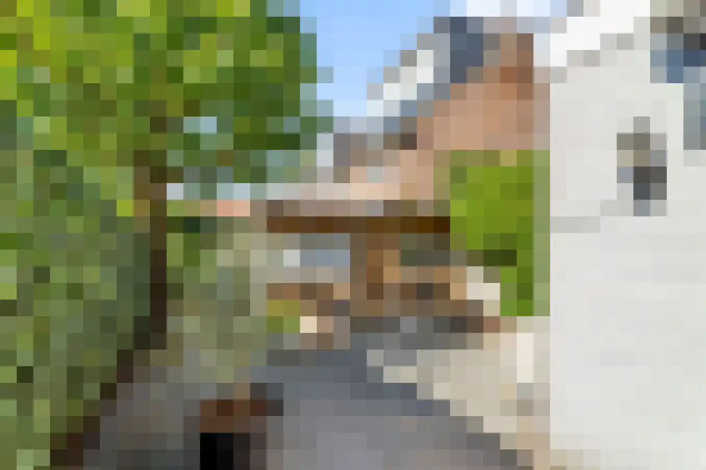 Wethouder Romboutsstraat 40 Breda thumbnail 41
