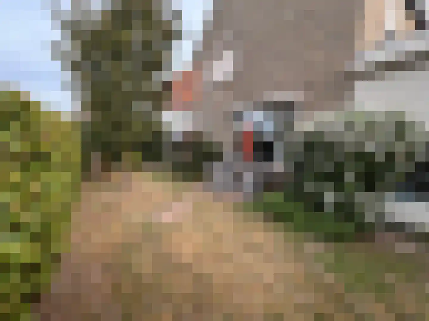 Wethouder Sandersstraat 1 Kekerdom thumbnail 26
