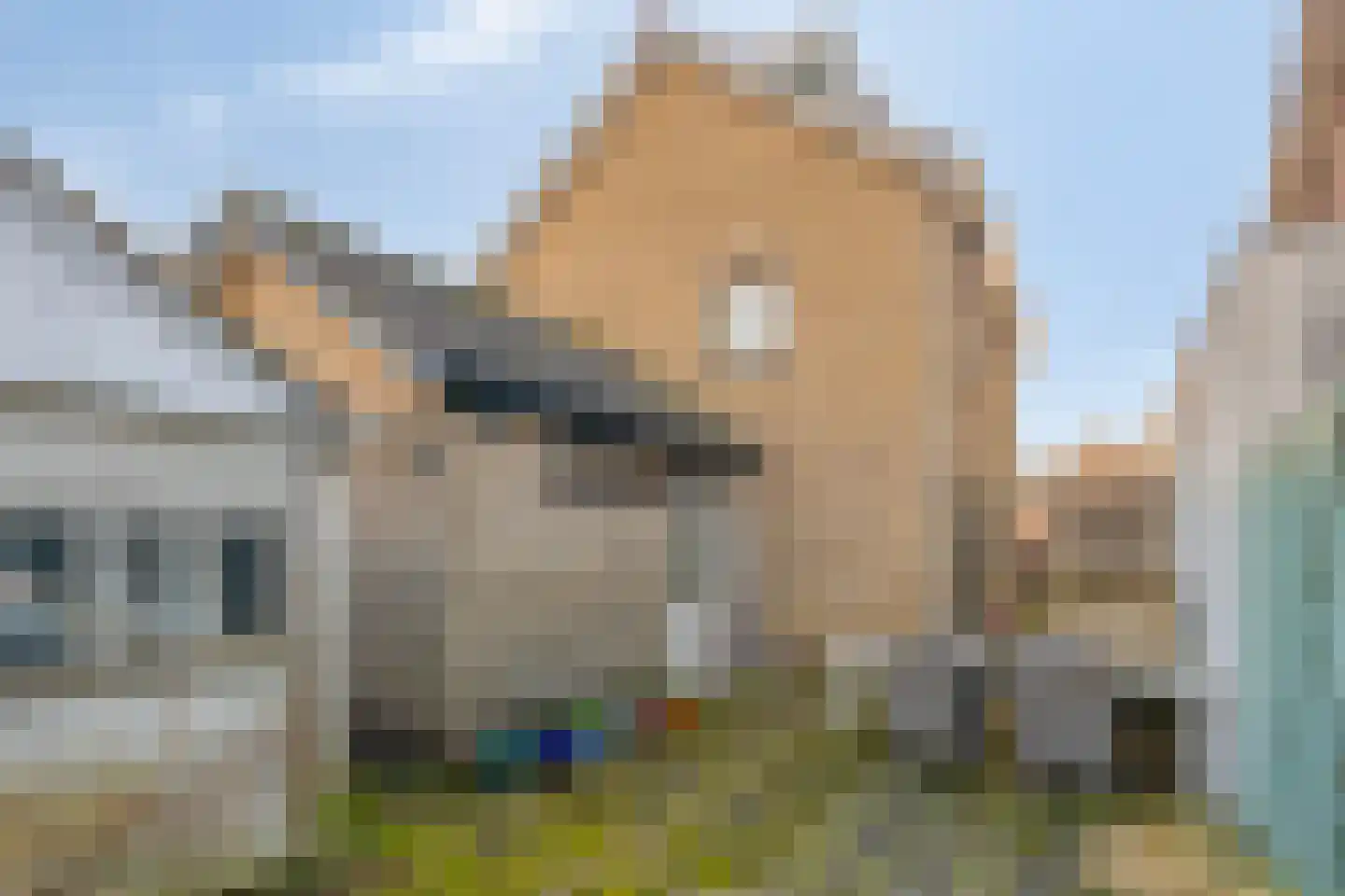 Wethouder Sandersstraat 1 Kekerdom thumbnail 29