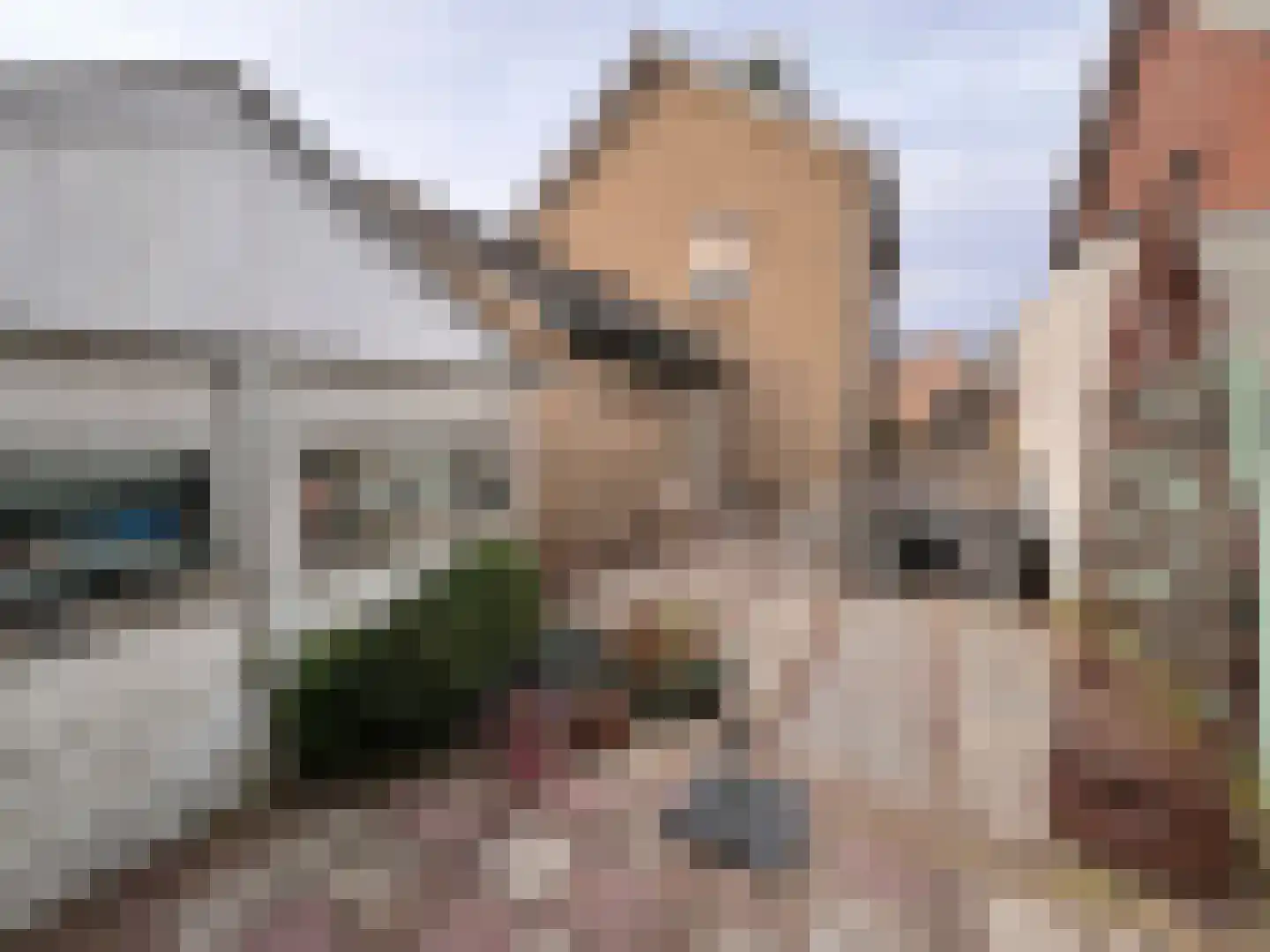 Wethouder Sandersstraat 1 Kekerdom thumbnail 29