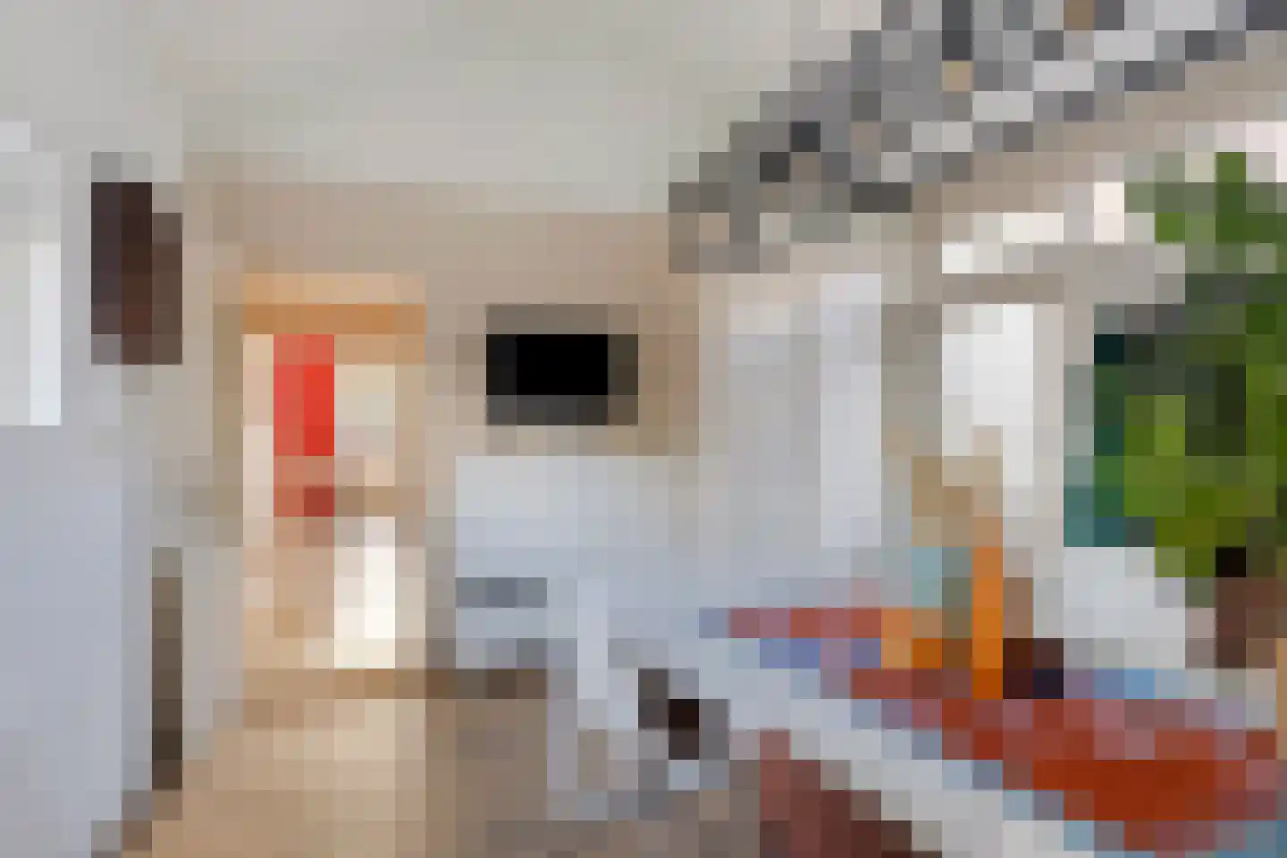 Wethouder Sandersstraat 1 Kekerdom thumbnail 9