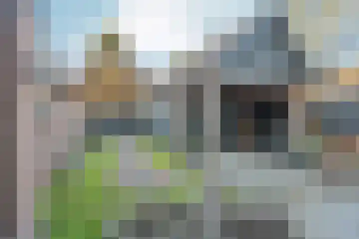 Wethouder Sandersstraat 36 Eerbeek thumbnail 37