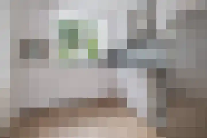 Wethouder Schimmellaan 23 Barneveld thumbnail 8