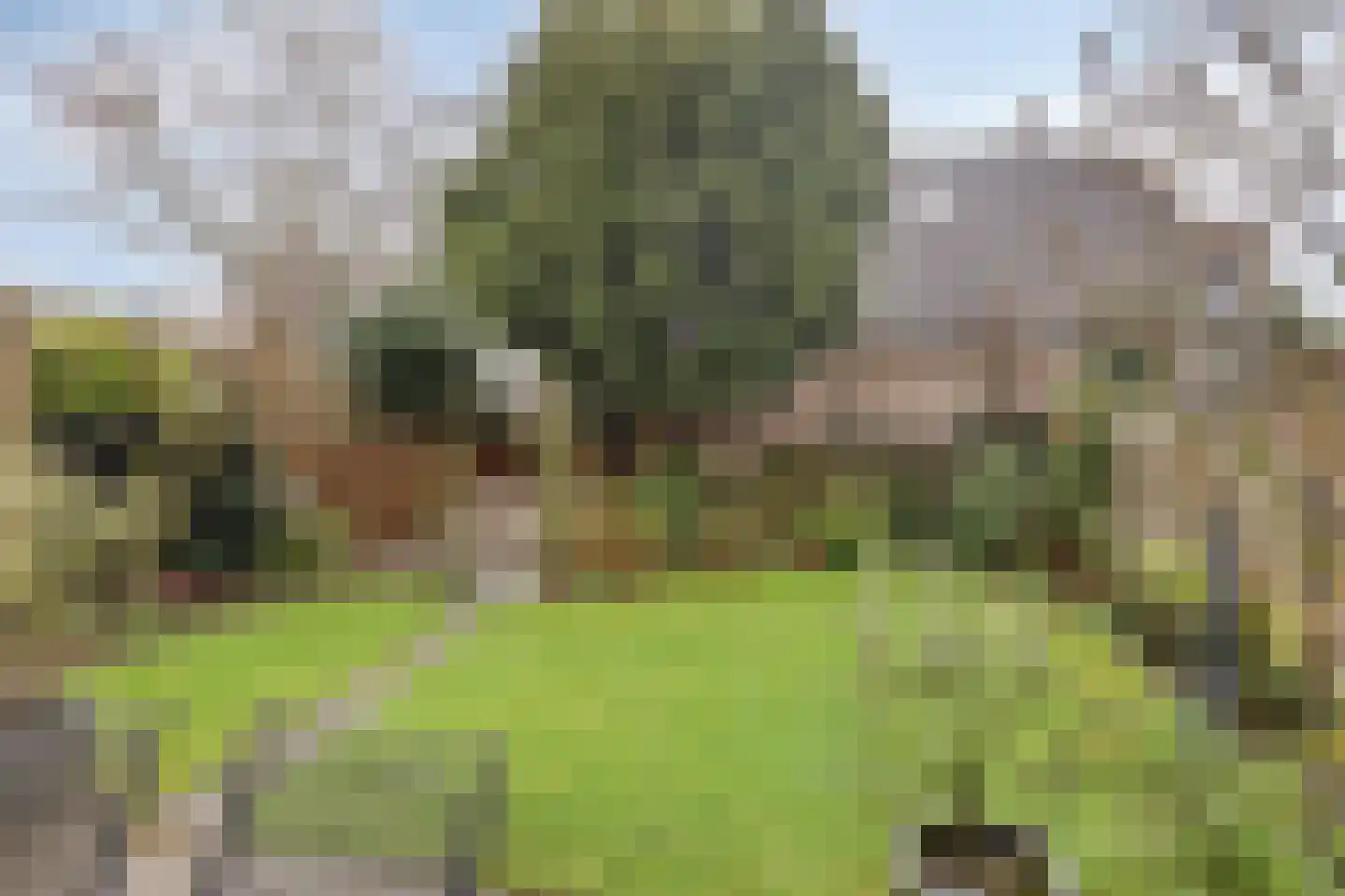 Wethouder Schimmellaan 32 Barneveld thumbnail 29