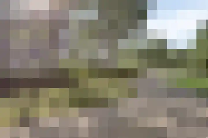 Wethouder Schuurmanslaan 4 's-Hertogenbosch thumbnail 26