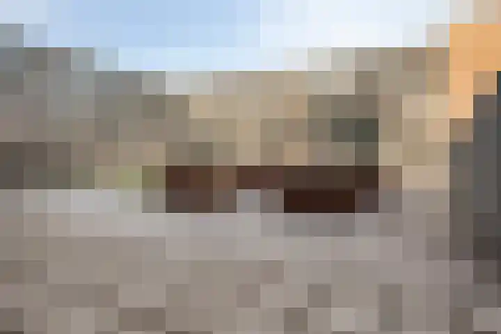 Wethouder Schuurmanslaan 4 's-Hertogenbosch thumbnail 31