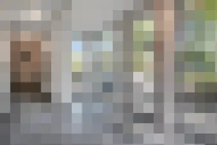 Wethouder Schuurmanslaan 4 's-Hertogenbosch thumbnail 8