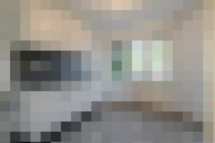 Wethouder Seegersplein 6 Amsterdam thumbnail 4