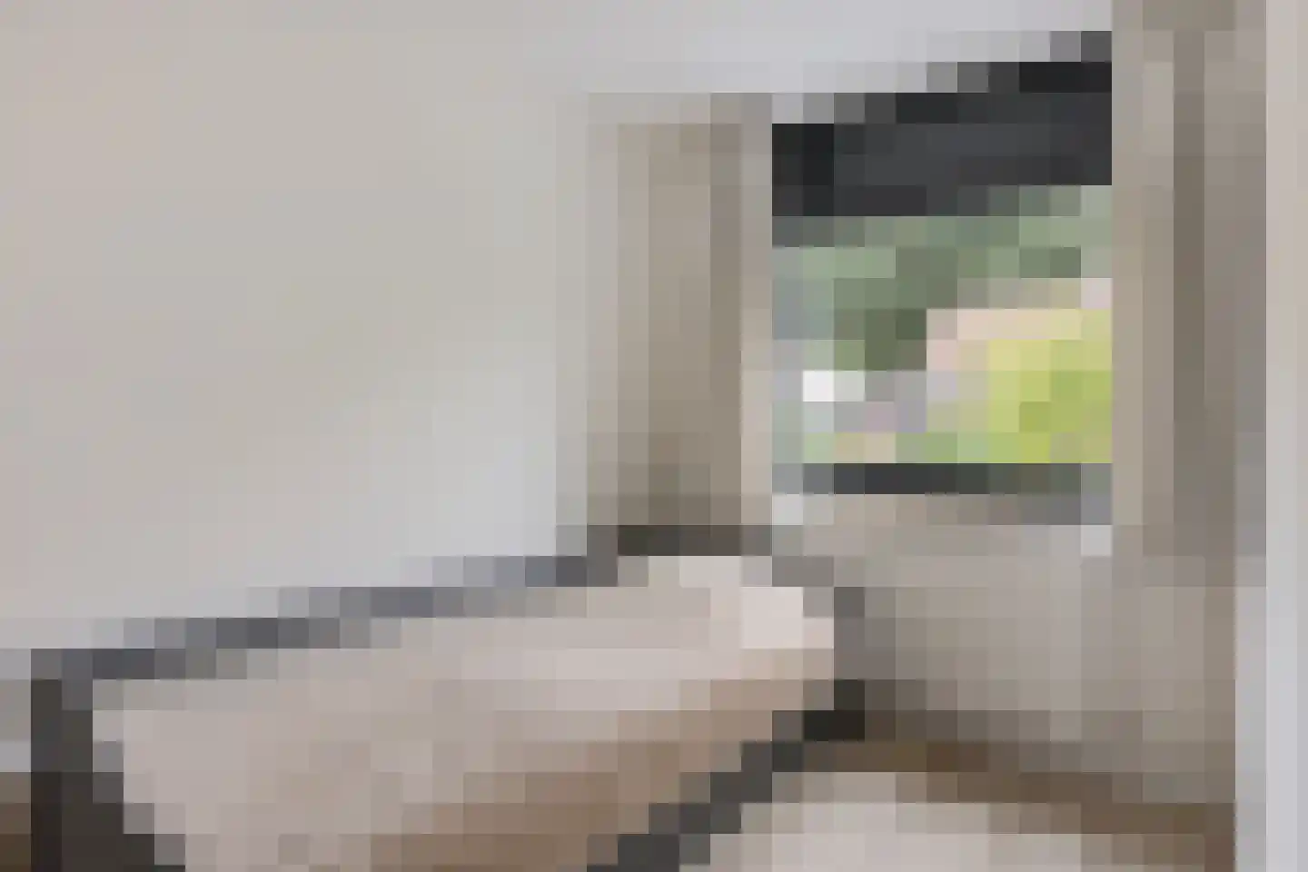 Wethouder Seelenstraat 54 Venlo thumbnail 17