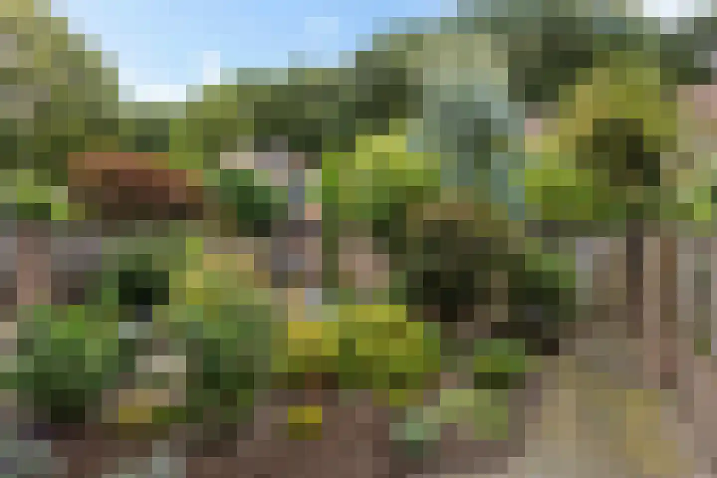 Wethouder Seelenstraat 54 Venlo thumbnail 32