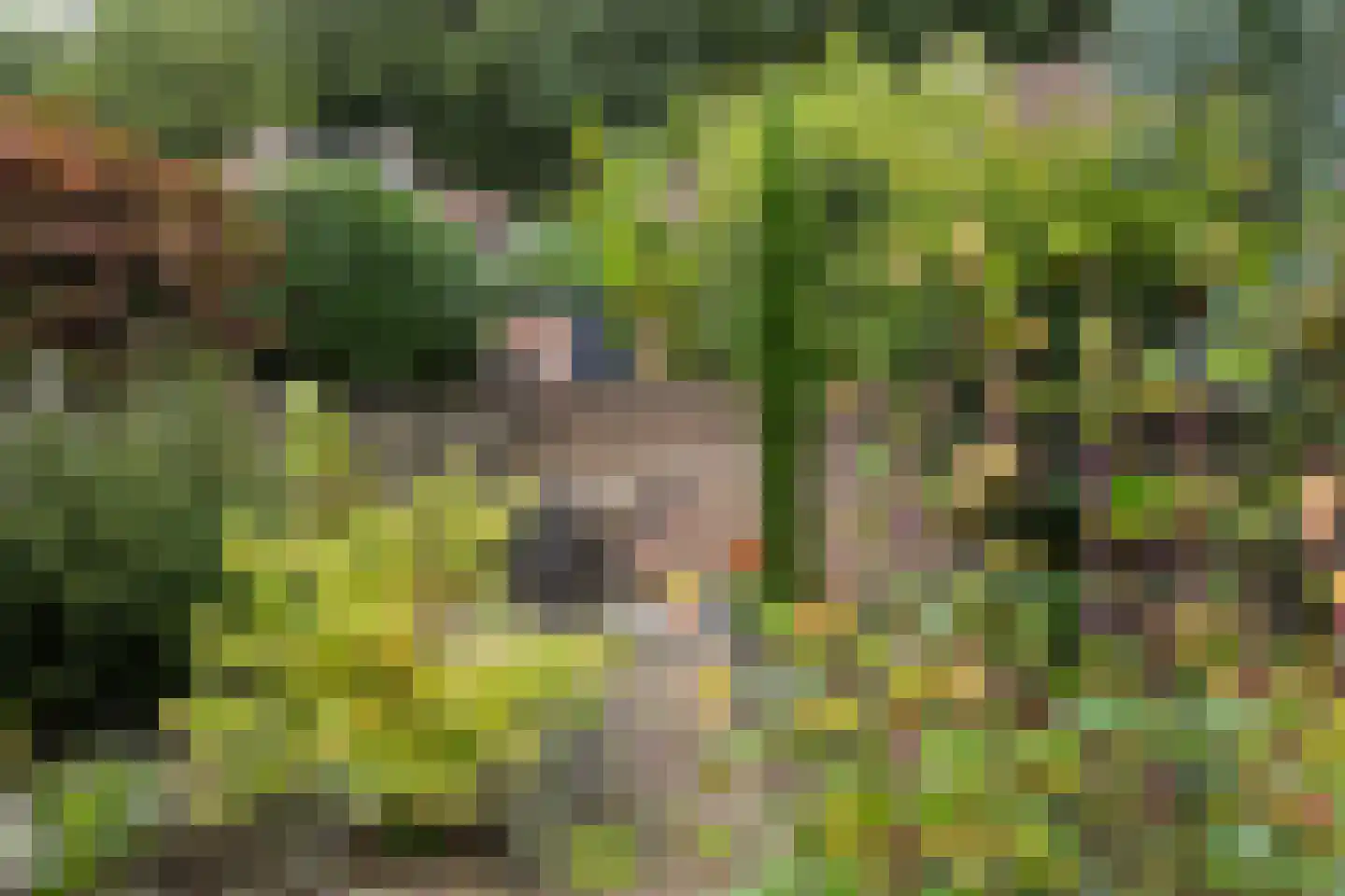 Wethouder Seelenstraat 54 Venlo thumbnail 33