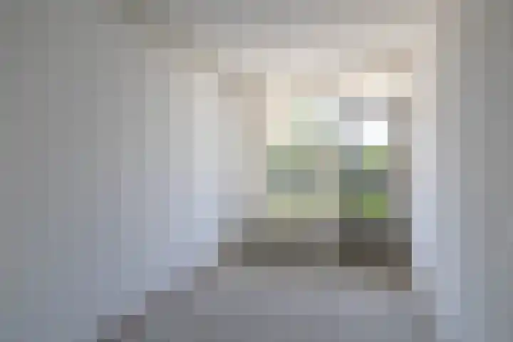 Wethouder Serrurierstraat 13 Amsterdam thumbnail 9