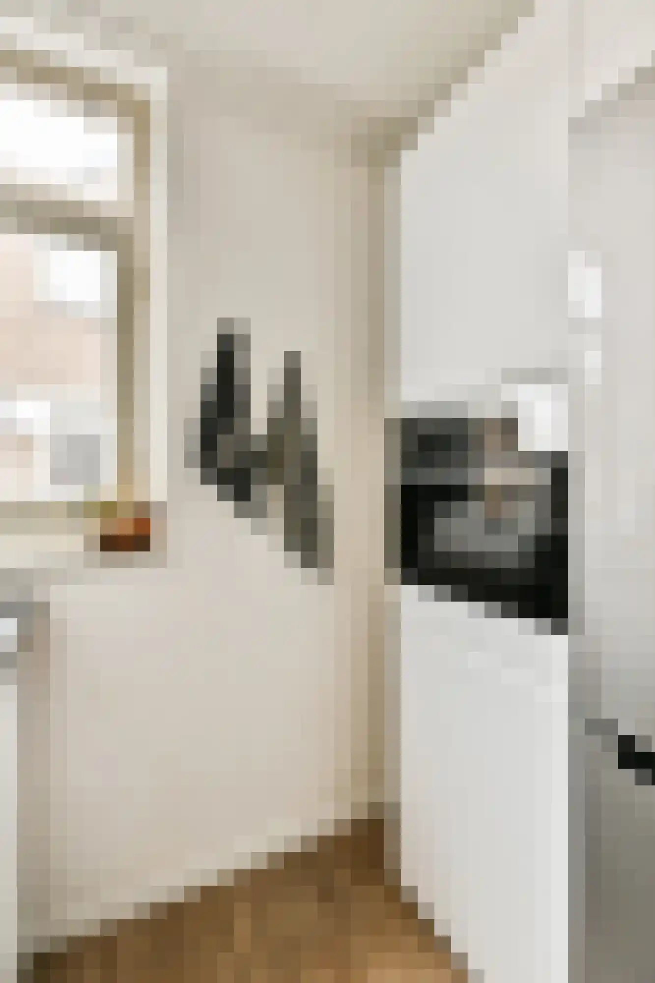 Wethouder Serrurierstraat 15 Amsterdam thumbnail 9