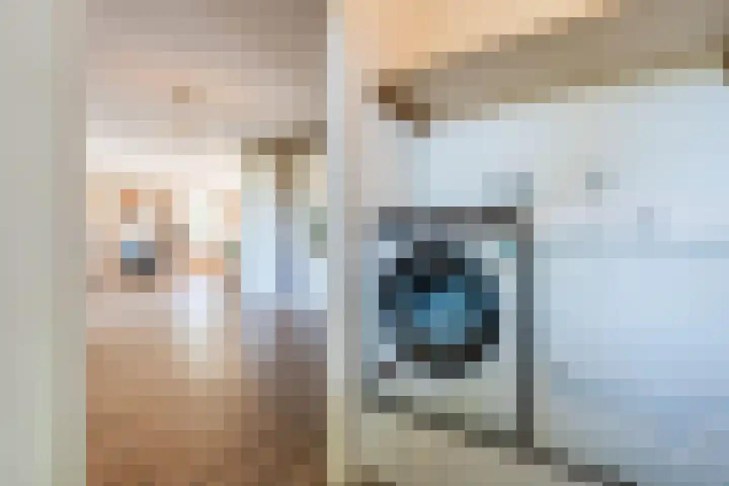 Wethouder Slootstraat 1 Tuk thumbnail 20