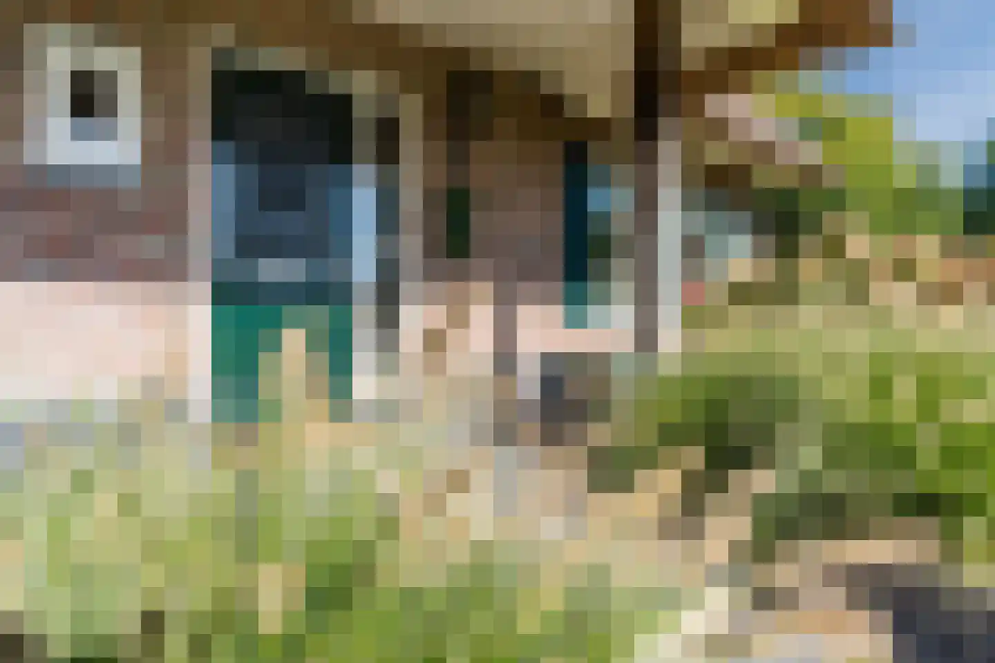 Wethouder Slootstraat 1 Tuk thumbnail 5