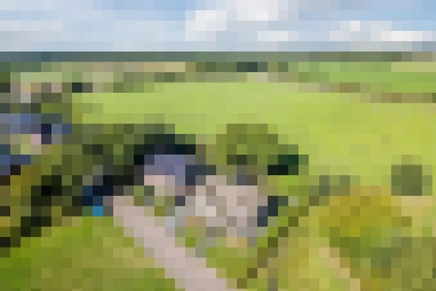 Wethouder Slootstraat 1 Tuk thumbnail 53